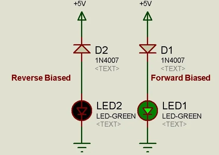 A circuit diagram showing a 4007 diode in use.