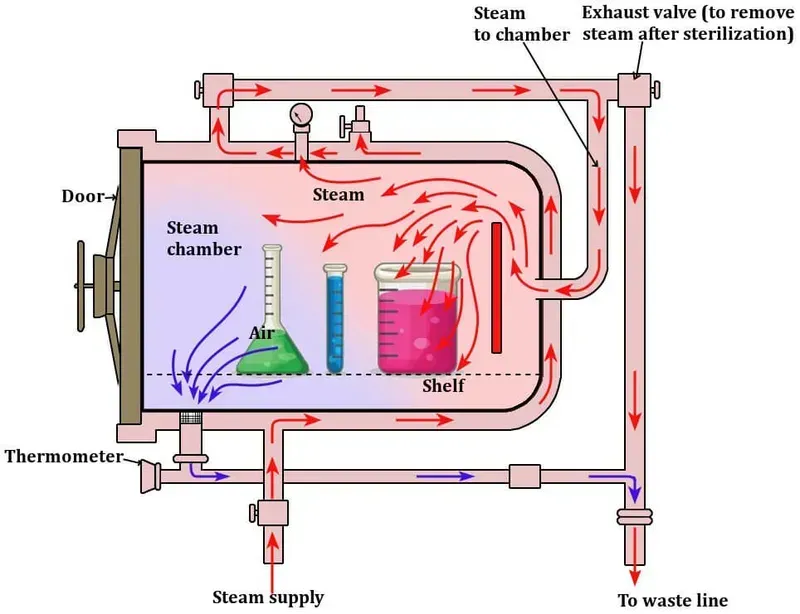 Internal components of a sterilizer