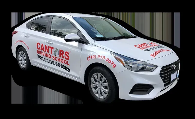 Driving school operating shared vehicle.
