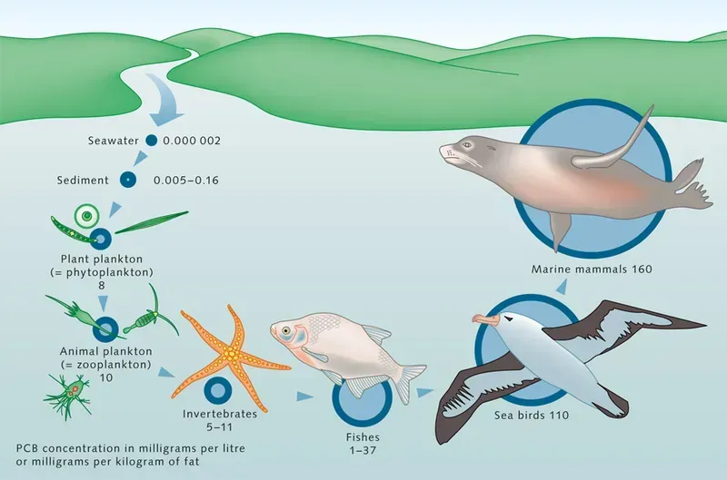 Marine environment PCB