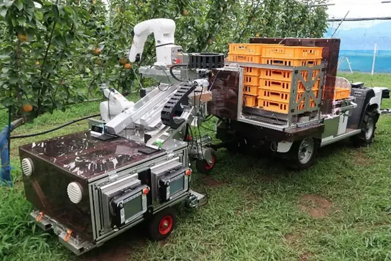 Robotic harvester in operation