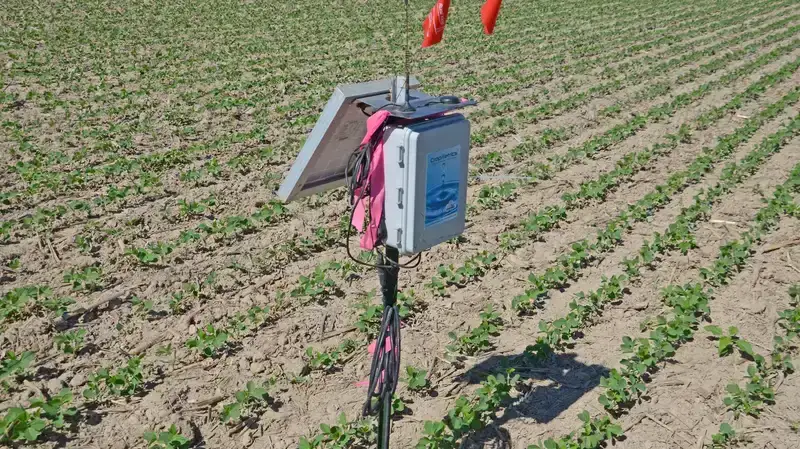 Farmer using a soil sensor in a field