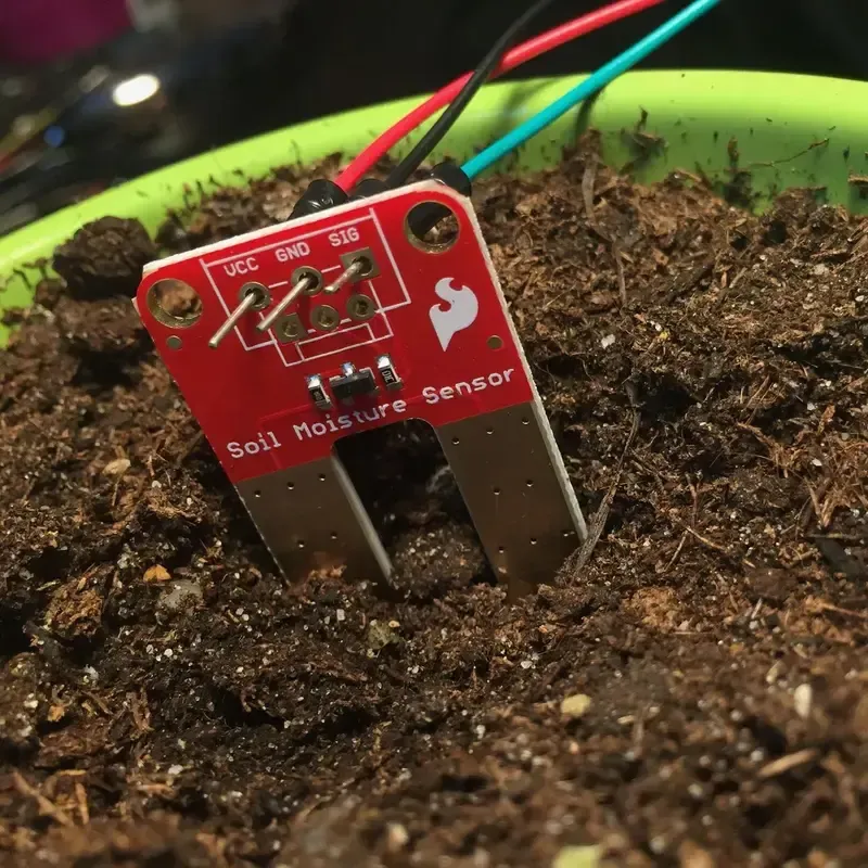 Close-up of a soil moisture sensor