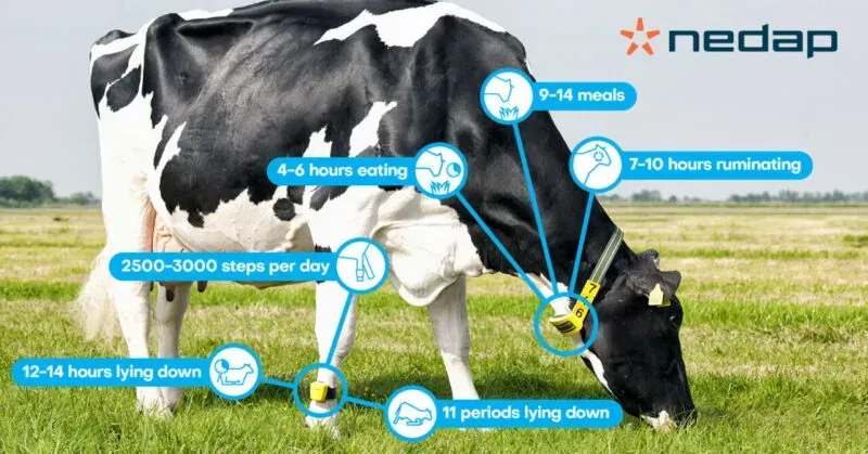 Animal health monitoring on a farm