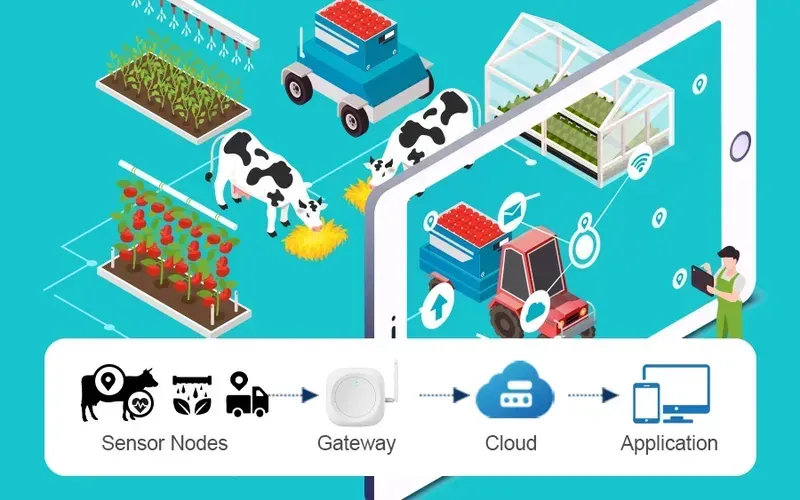 Data transmission in an agricultural IoT system