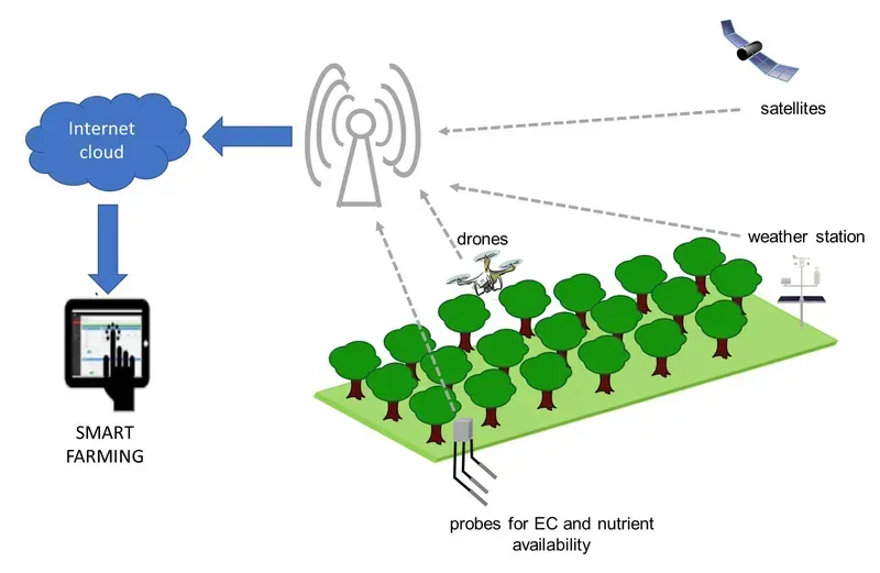 Sensors in a smart fertilization system