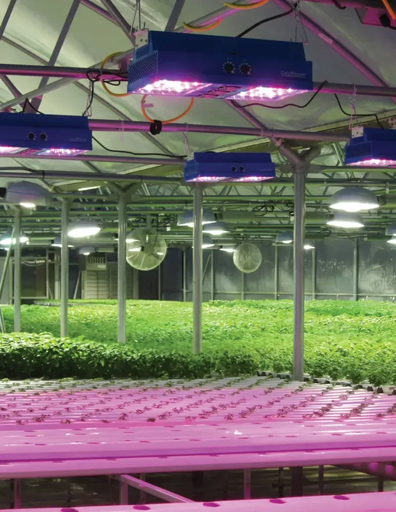 Greenhouse with LED lighting