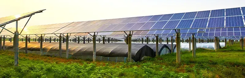 Agricultural monitoring station powered by solar panel