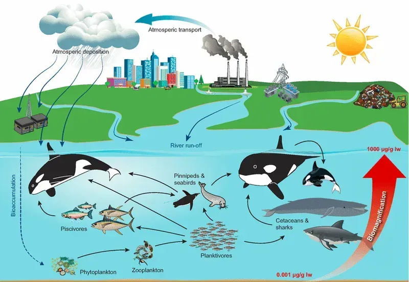 PCB board designed for marine environments