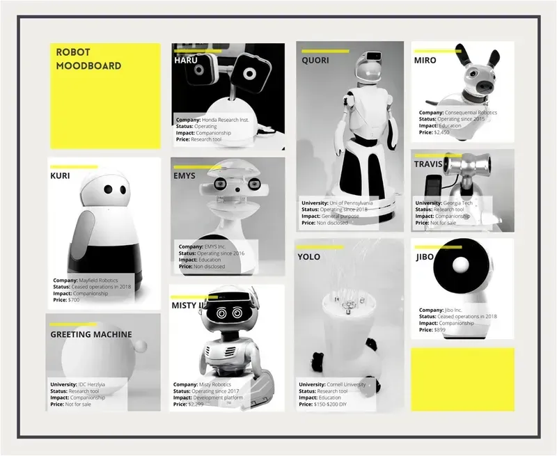 A social robot in use