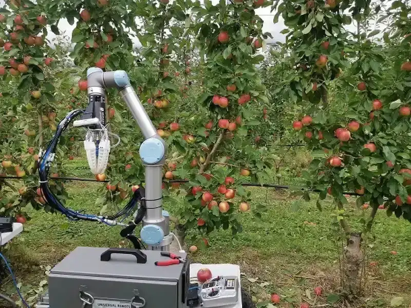 A PCB for an orchard picking robot