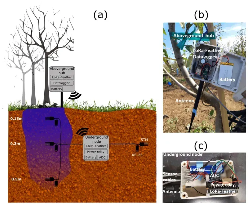 A successful soil pollution monitoring project