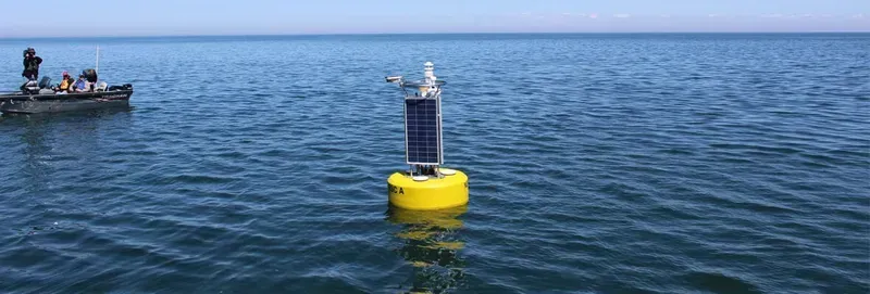 A forest fire monitoring buoy