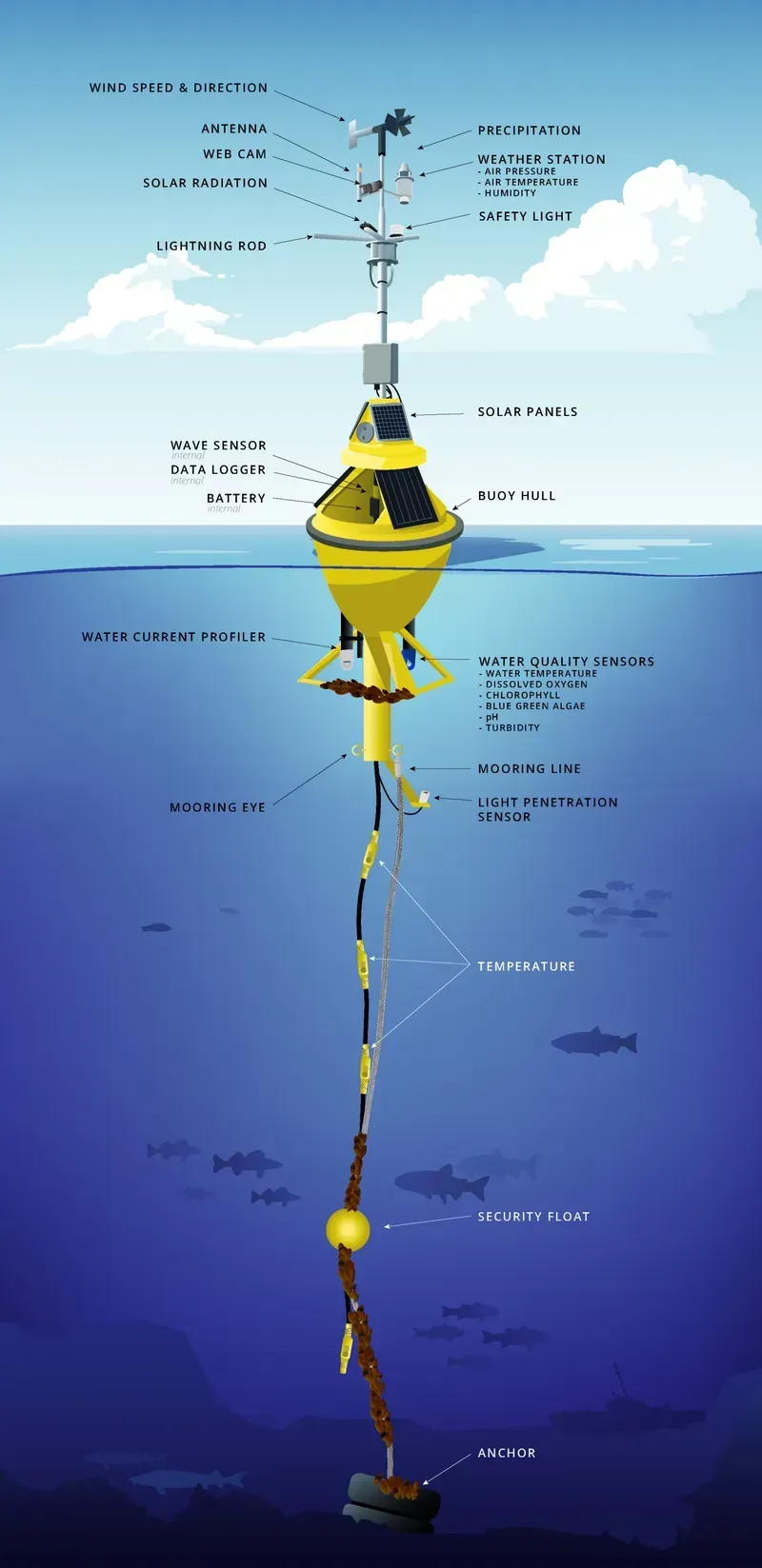 Sensors on a forest resources monitoring buoy