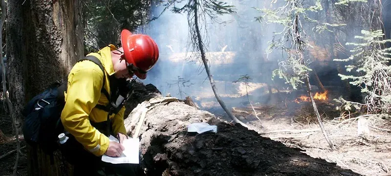 Forest fire monitoring system
