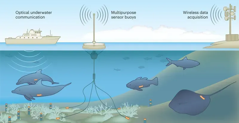 Real-world applications of deep sea environment monitoring